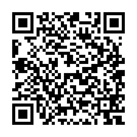 QR code for DK22991