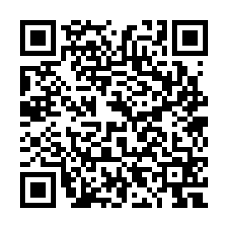 QR code for DL33647