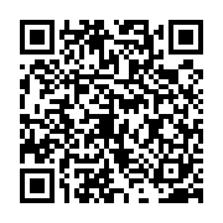QR code for DL55617