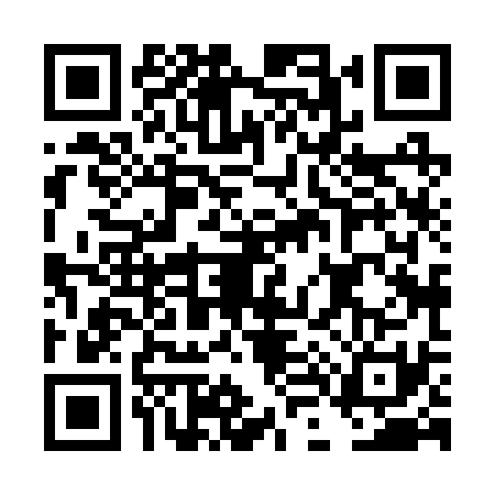 QR code for DL82311