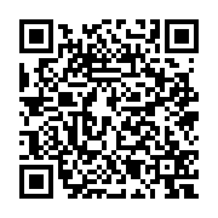 QR code for DM13378