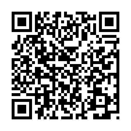 QR code for DM60311
