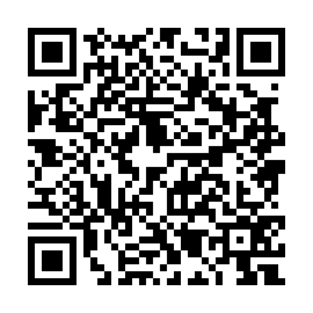 QR code for DM80768