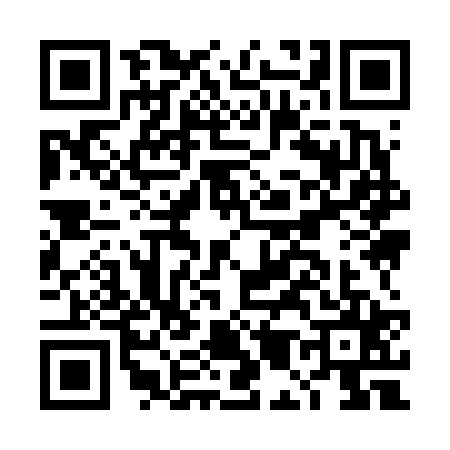 QR code for DM96255