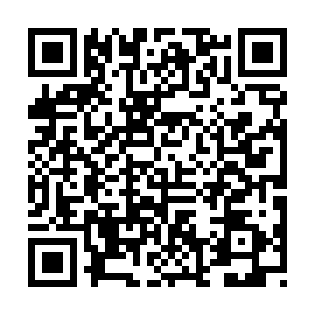 QR code for DN04223