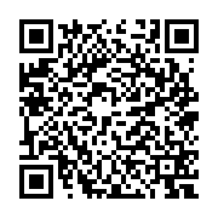 QR code for DN13617