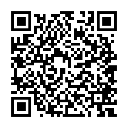 QR code for DN46499