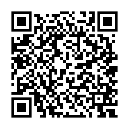 QR code for DN56411