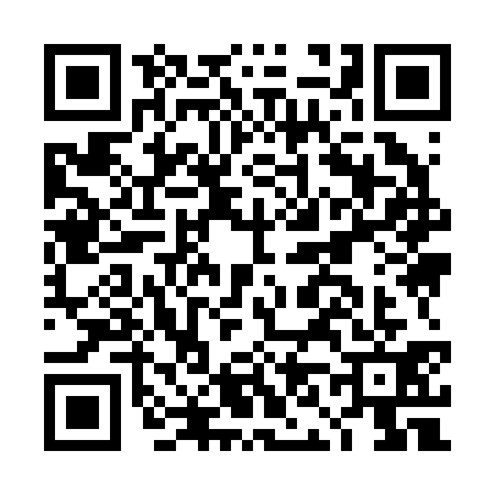 QR code for DN92313