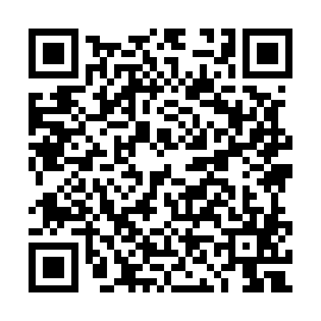 QR code for DN95856