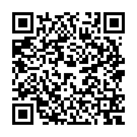 QR code for DN96606