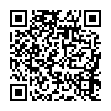 QR code for DN98585