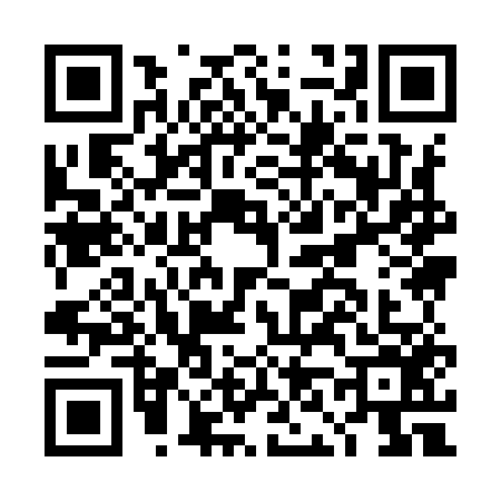 QR code for DN99565