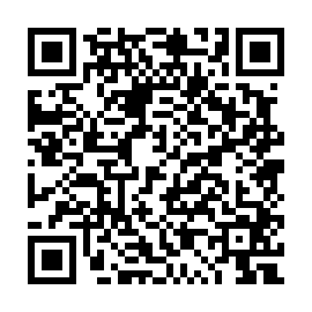 QR code for DP04441
