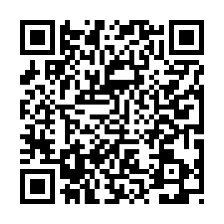 QR code for DP06738