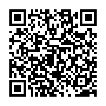 QR code for DP13515