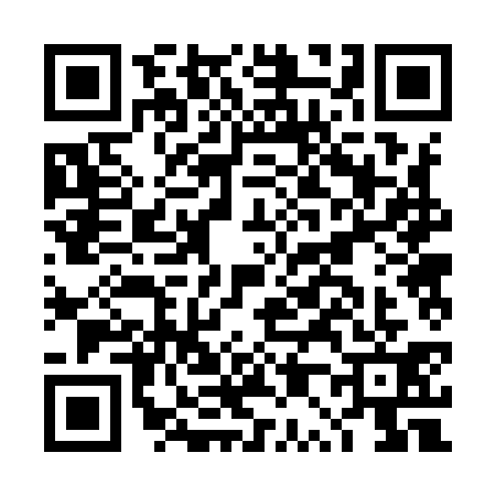 QR code for DP29311