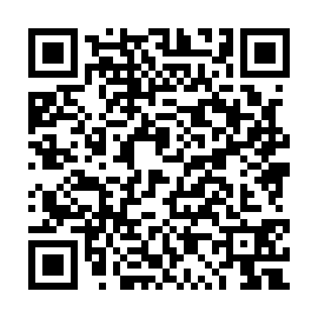 QR code for DP81303