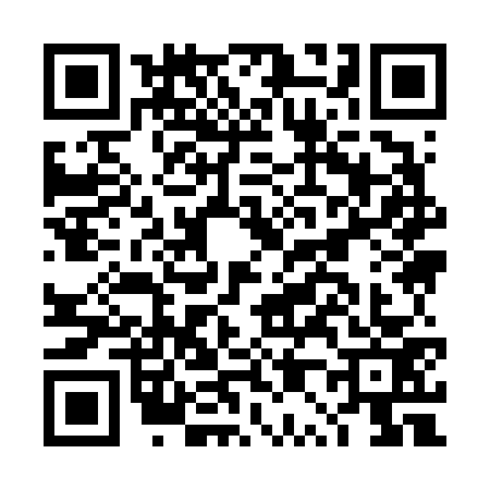 QR code for DP96738