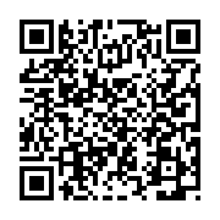 QR code for DQ07994