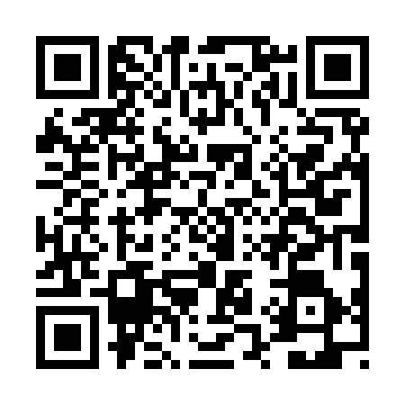 QR code for DQ09768