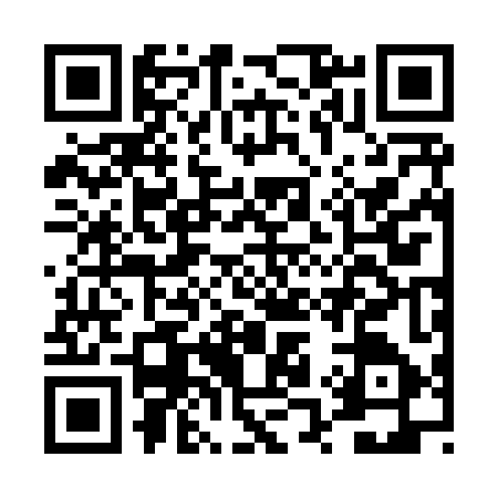 QR code for DQ28479