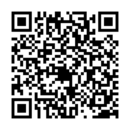 QR code for DQ30753