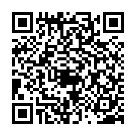 QR code for DQ38703