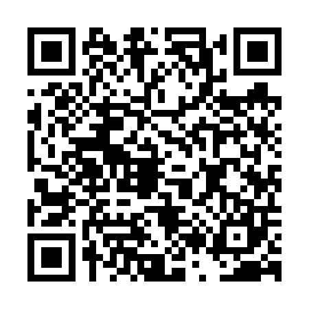 QR code for DR96079