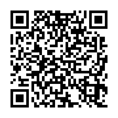 QR code for DS02339