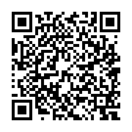 QR code for DS03925