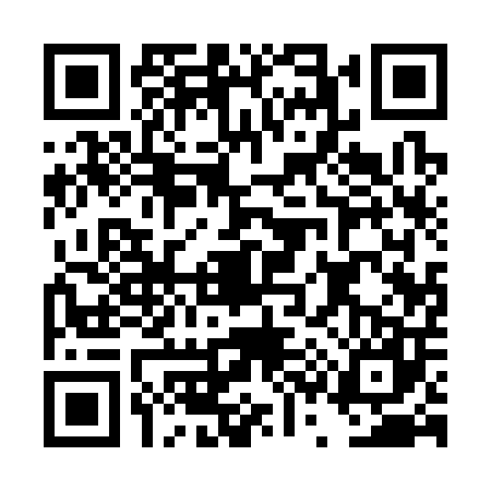 QR code for DS13078