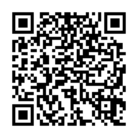 QR code for DS13271