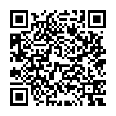 QR code for DS15397
