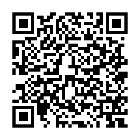 QR code for DS15541