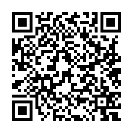QR code for DS29370