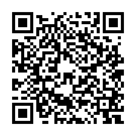 QR code for DS33404