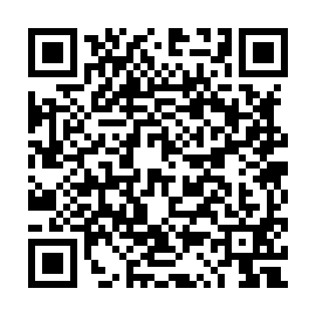 QR code for DS38919