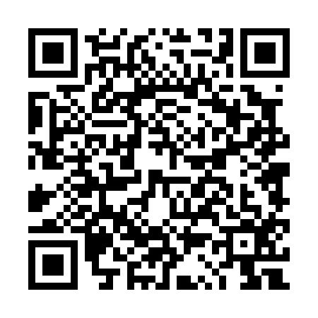 QR code for DS40163