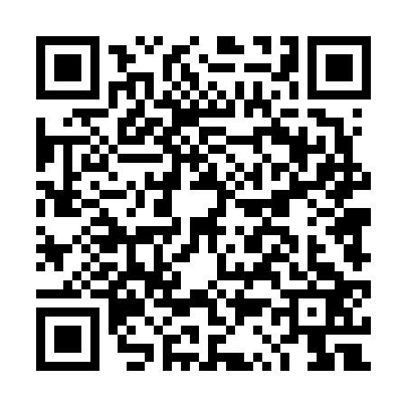 QR code for DS46234