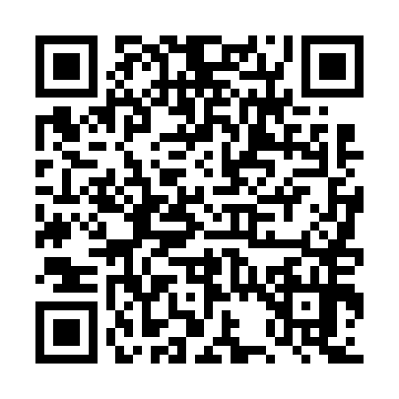 QR code for DS46541