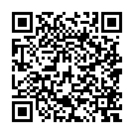 QR code for DS85491