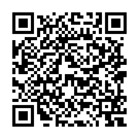 QR code for DS95966