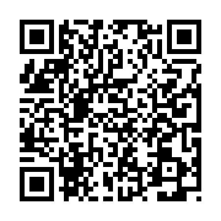 QR code for DT03438