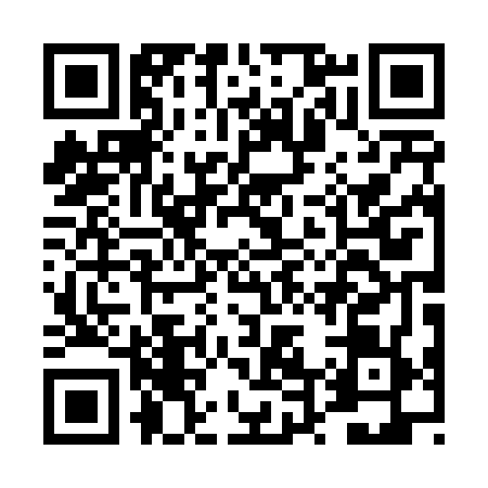 QR code for DT04699