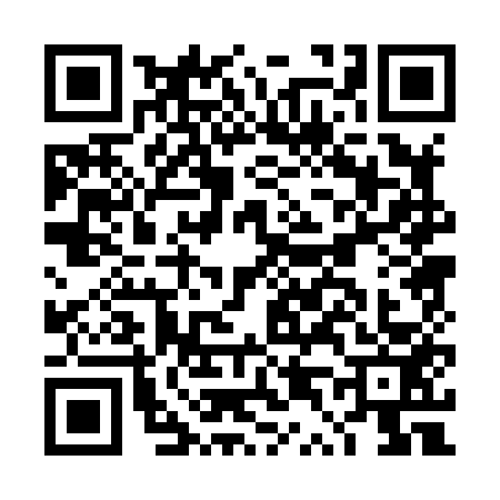QR code for DT08533