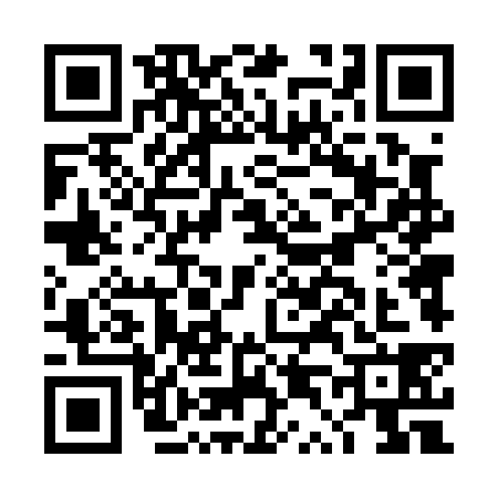 QR code for DT40381