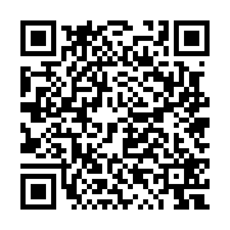 QR code for DT50295