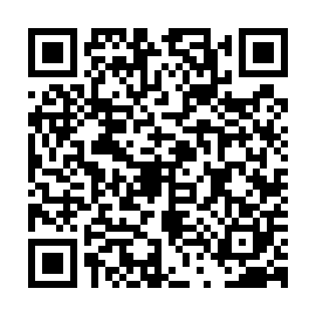 QR code for DT65009