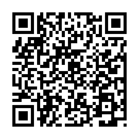 QR code for DT66981